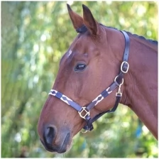 Кожаный недоуздок для лошади SHIRES BLENHEIM "Polo", COB, Розовый/синий (Великобритания)